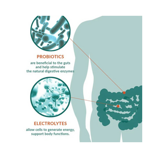 Altaflora Electrolytes (Diar-Caps)